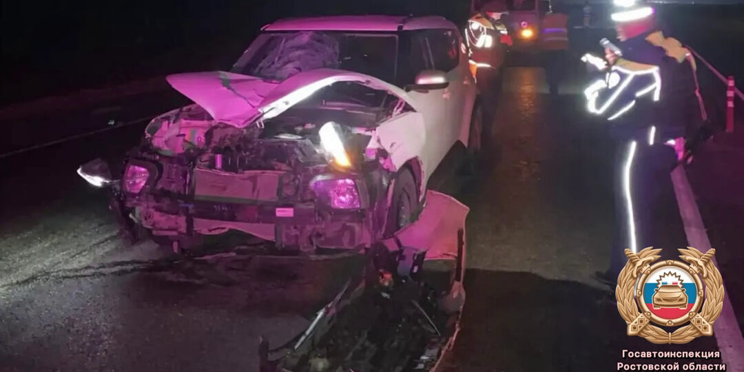 Женщина погибла под колёсами машины на ночной трассе под Таганрогом
