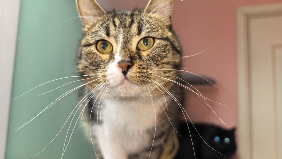 Времени больше нет