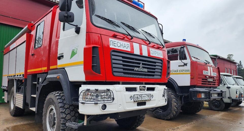    МедиаБанк Подмосковья/Наталья Дорошева