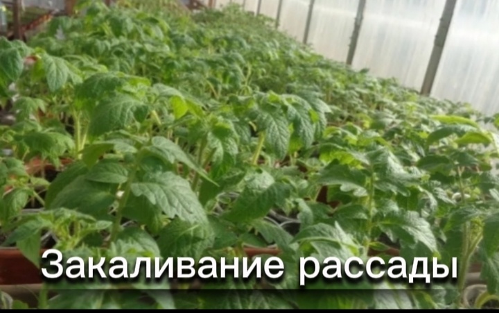 Фоторедактор/