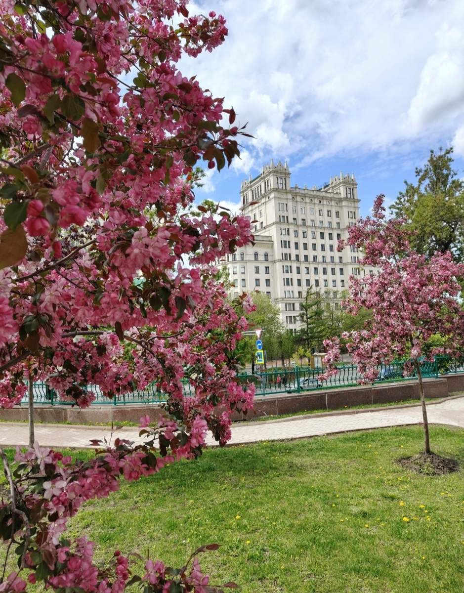 Весна в Москве (фото автора) 