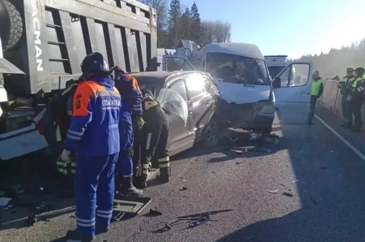   В МЧС уточнили число пострадавших в Тосненском районе