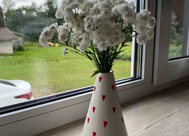 WILDBERRIES: 11 НЕОБХОДИМЫХ товаров для дома