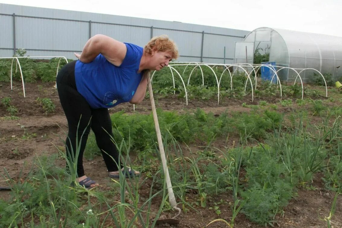 Фото Яндекс Картинки