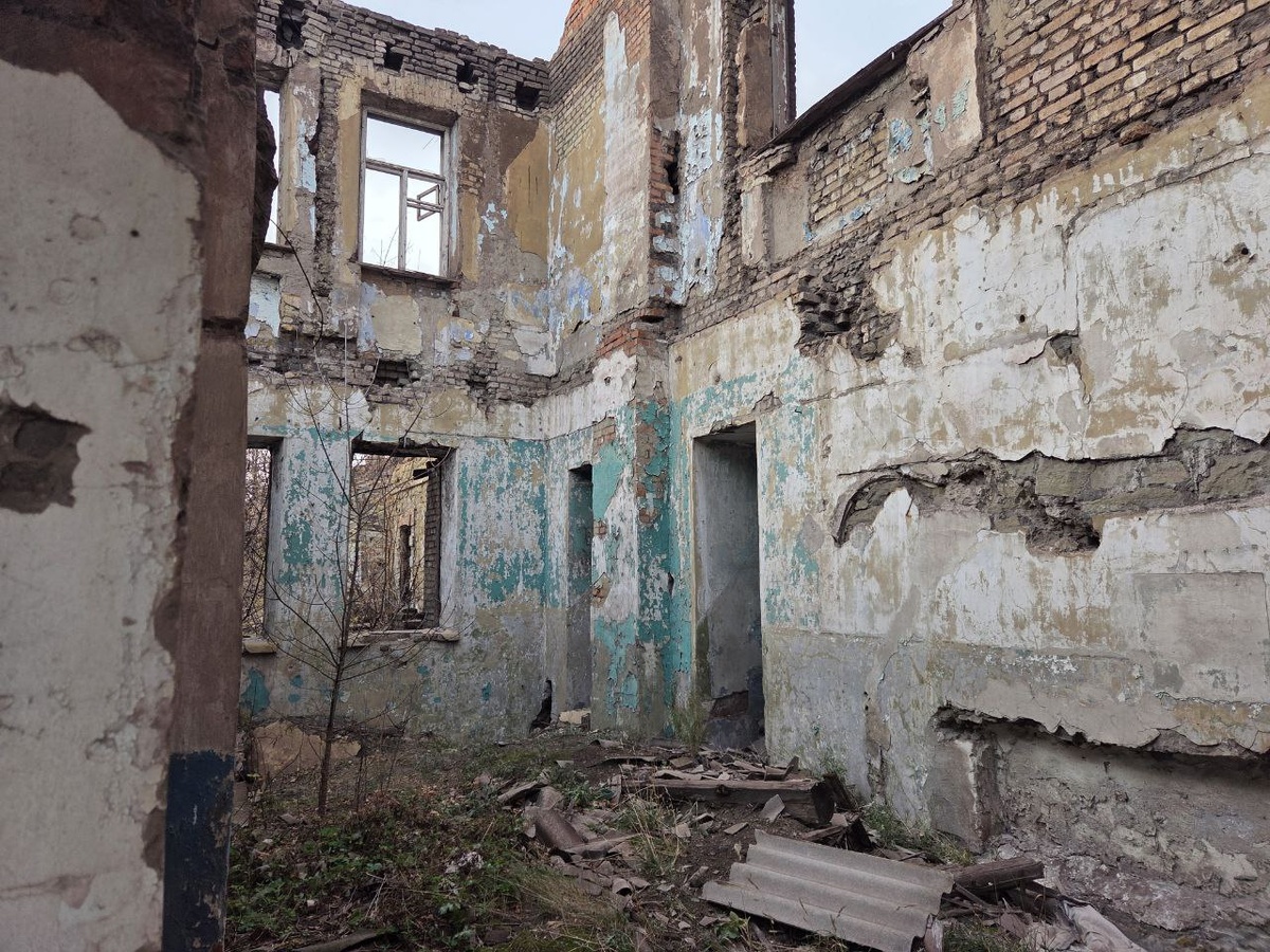 виды внутри