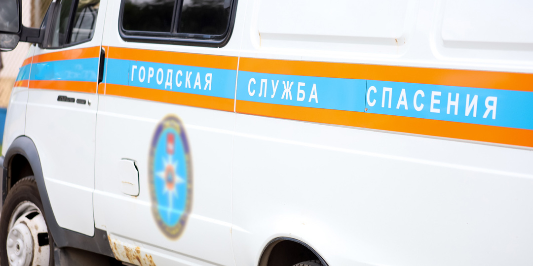 Спасатели обследовали тайгу в поисках семьи Усольцевых: что удалось найти