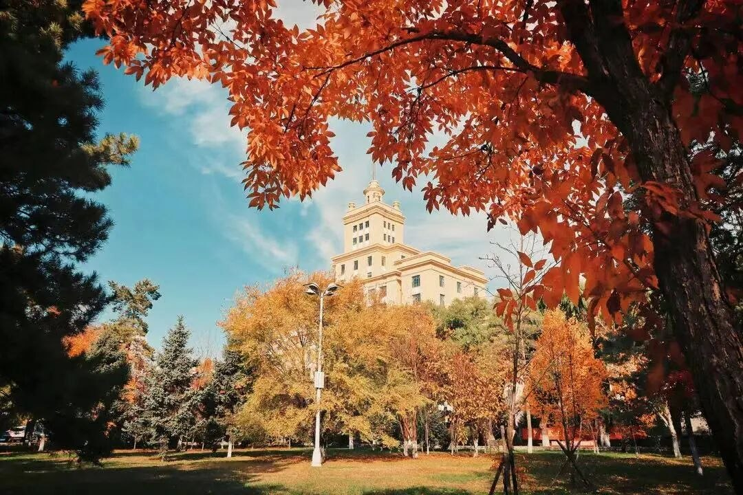 Хэйлунцзянский университет. Источник: Вичат.