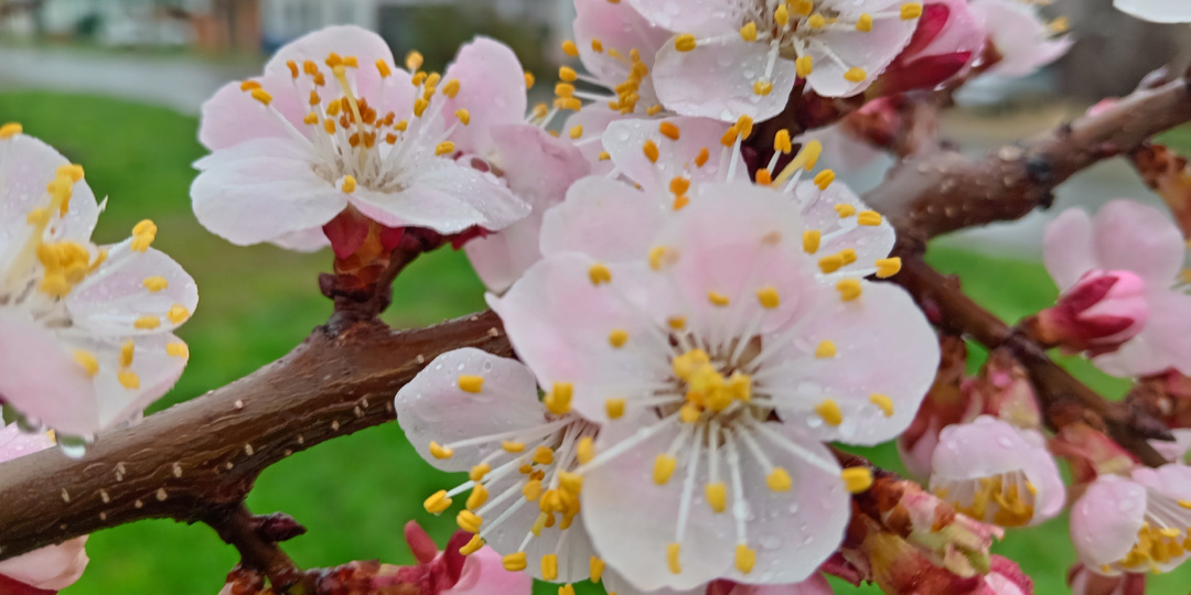 ДОЖДЛИВОЕ УТРО