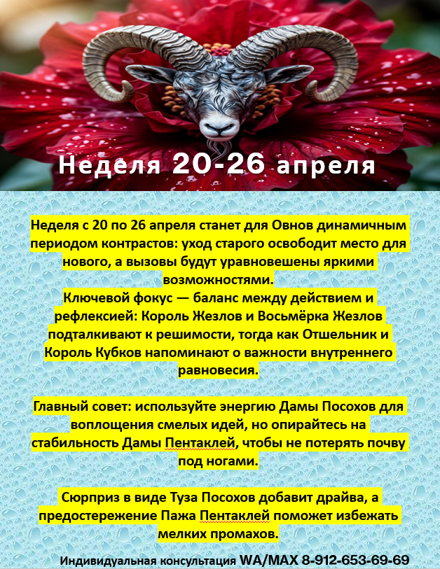 картинка принадлежит автору канала