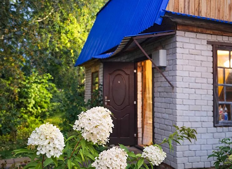 Как я сняла дачу, хотя в нашем регионе их почти не сдают