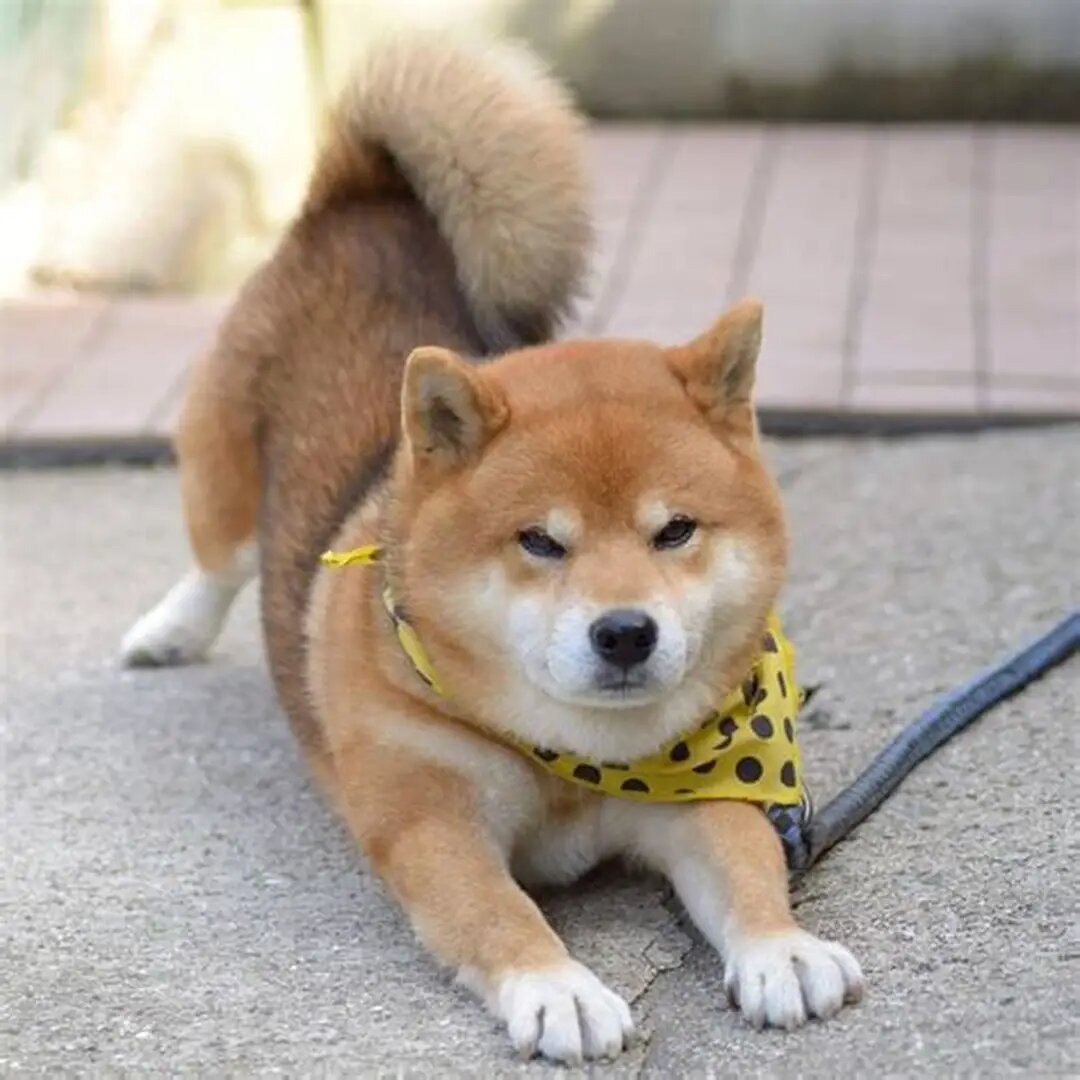 -Тренировки и режим - основа жизни и здоровья!