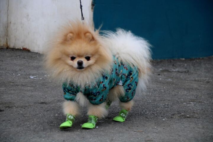 Ледяные дожди. Волна холода накроет российские регионы перед майскими праздниками