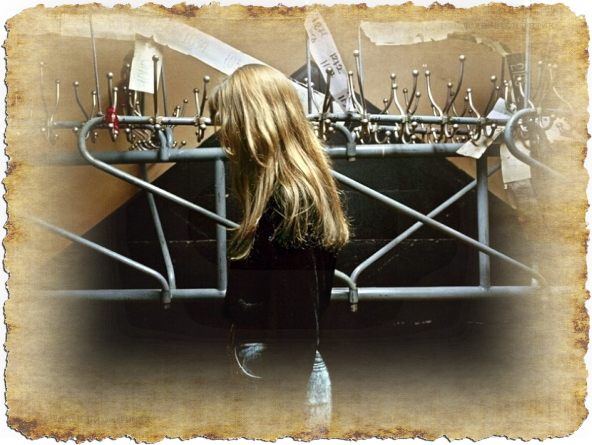 «Зеленая общага» Глава 17