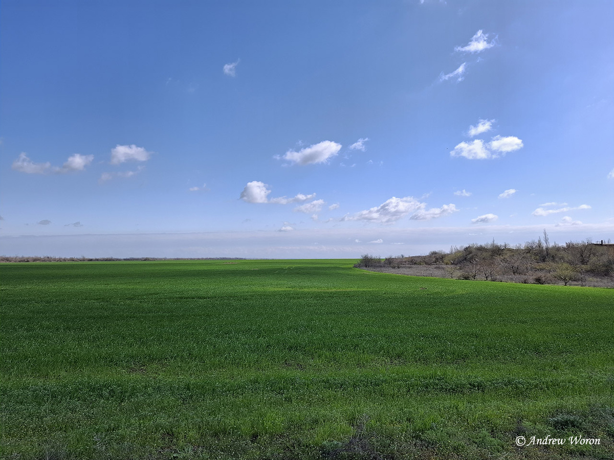 Свежее поле