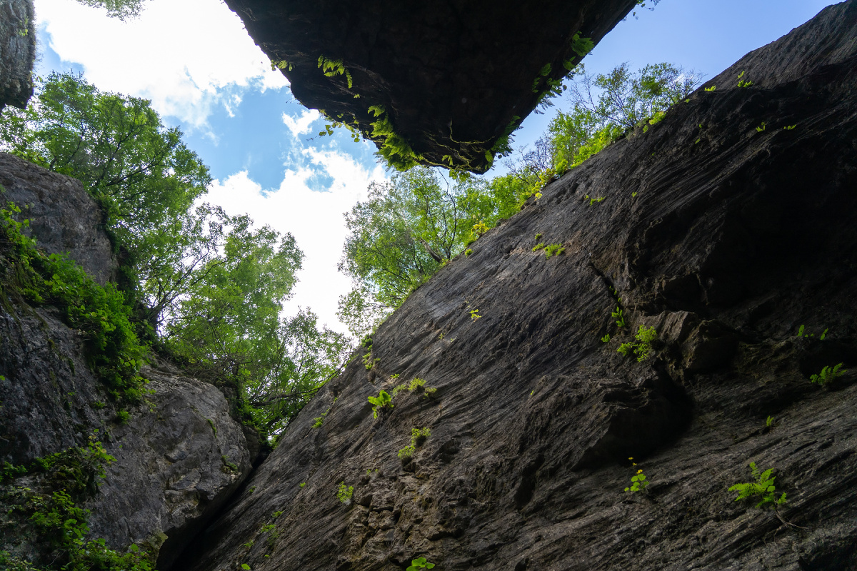 Каменная чаа - глубокий разлом в скалах, образующий «залы» с высокими сводами. Источник: Shutterstock