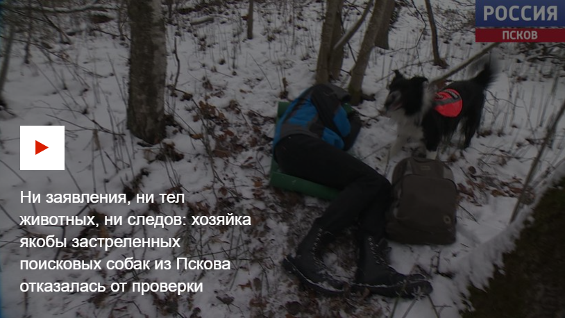 ФОТО: Скриншот "Вести-Псков"