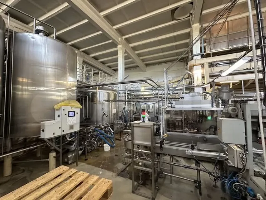 Фото: Авито