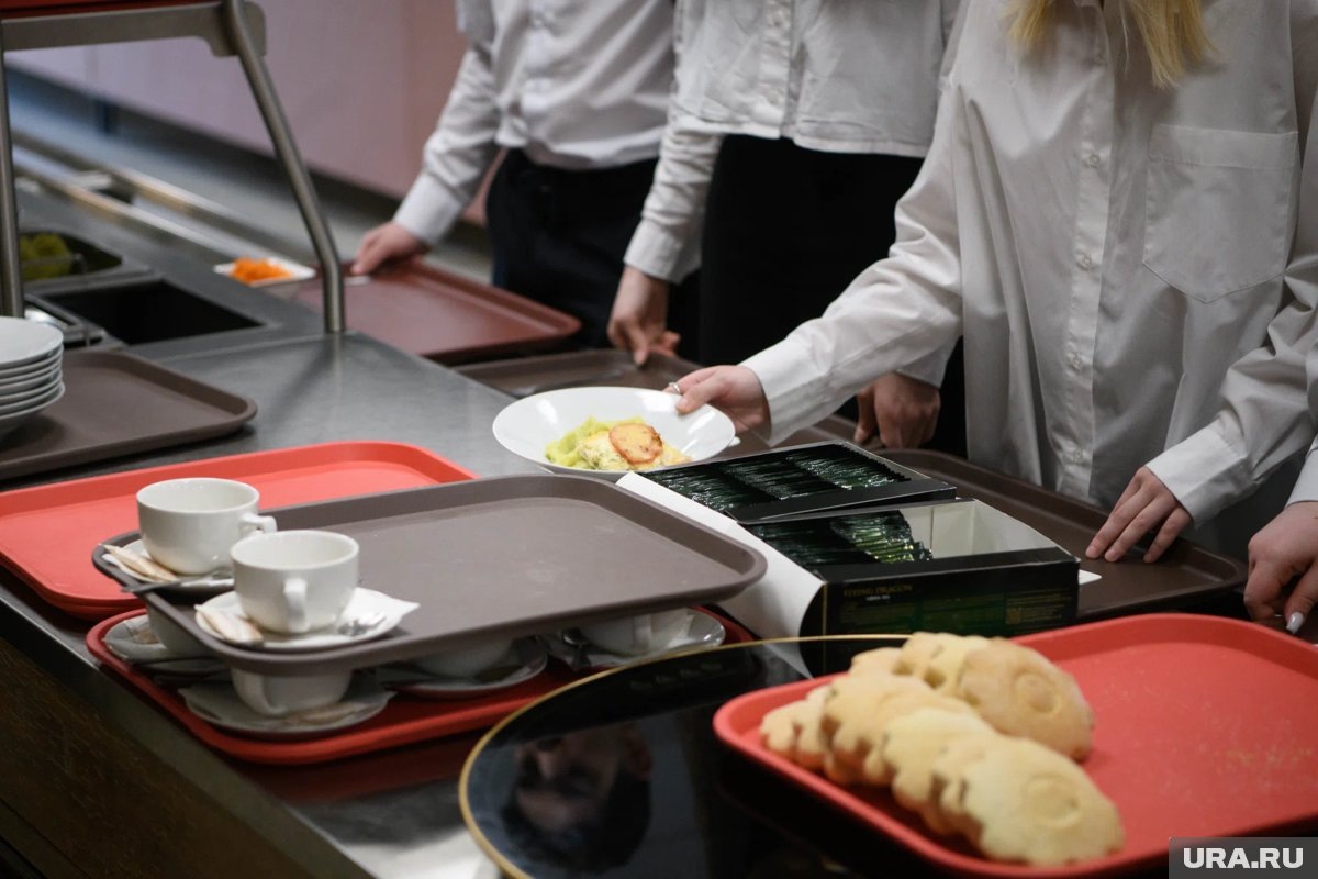     В комбинате питания Кургана, отвечающем за школьные столовые, появился новый гендиректор