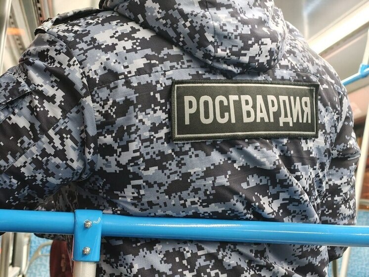     Фото: МК в Пензе