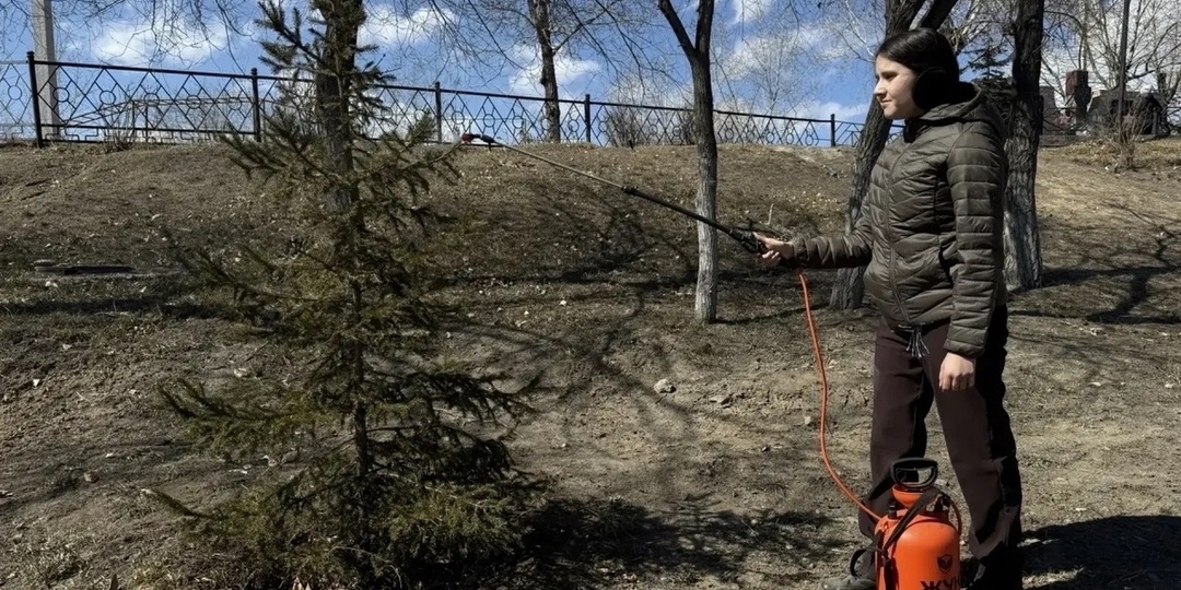 В Улан-Удэ озеленят более 40 общественных территорий