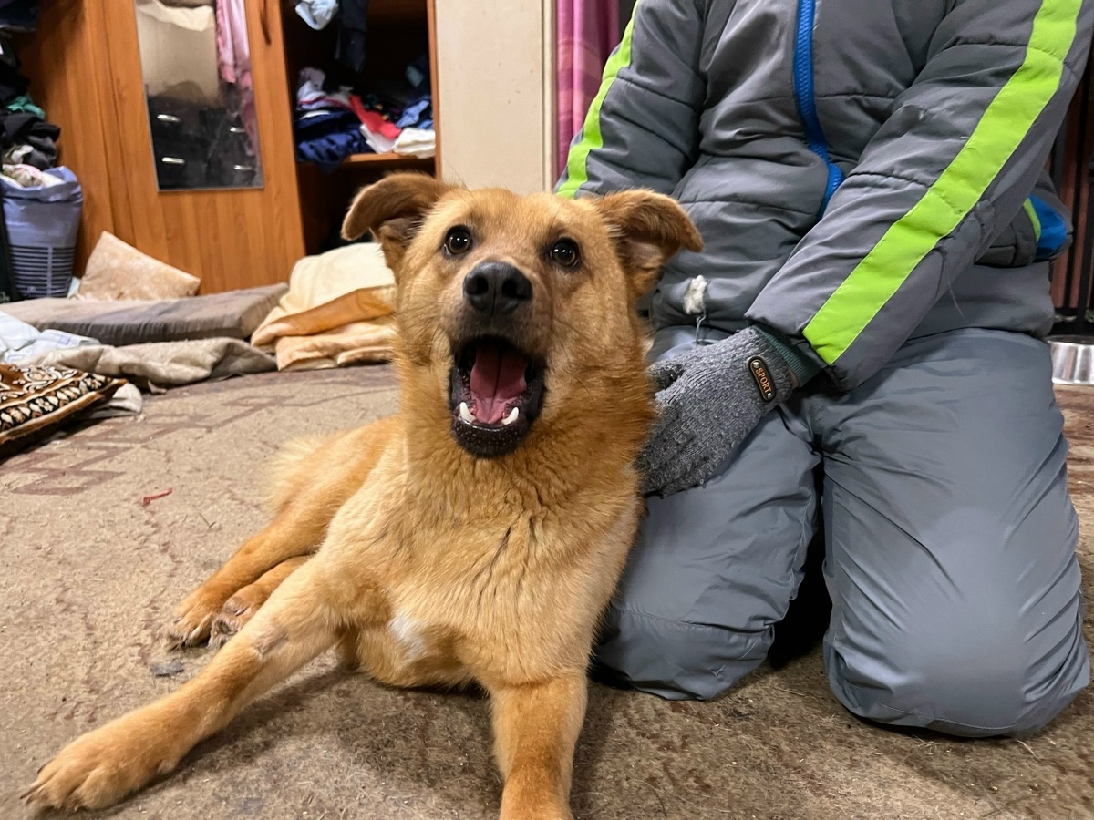 Согласен, - подтверждает Степашка, - вкуснее не бывает!