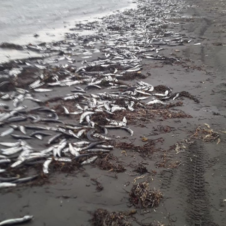 Фото из свободных источников