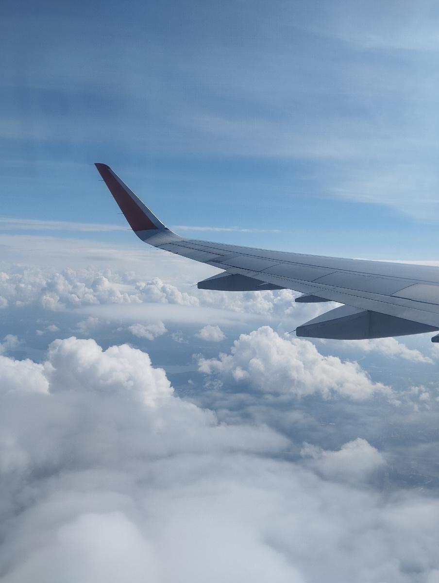 Билет на самолёт с серебристым крылом.