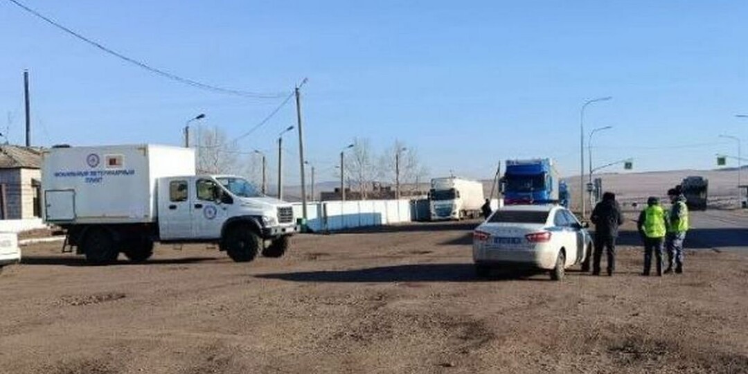 В Бурятии росгвардейцев поблагодарили за работу на ветеринарных постах