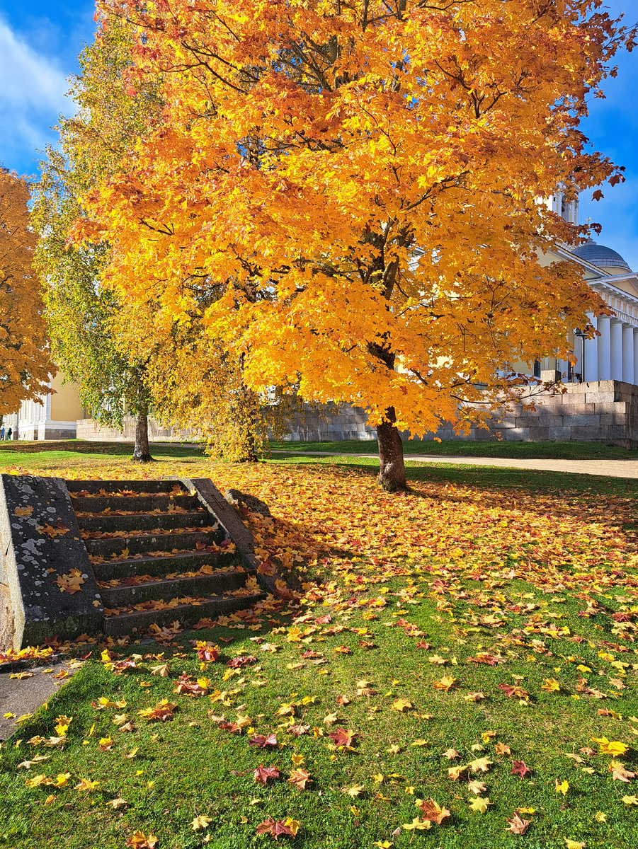Экскурсия по Ниловой Пустыни на Селигере осенью