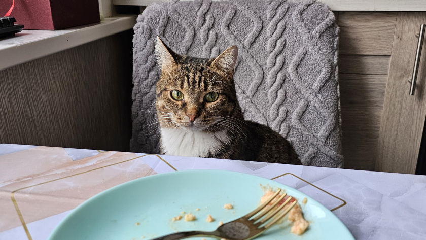    Фото progorod43.ru