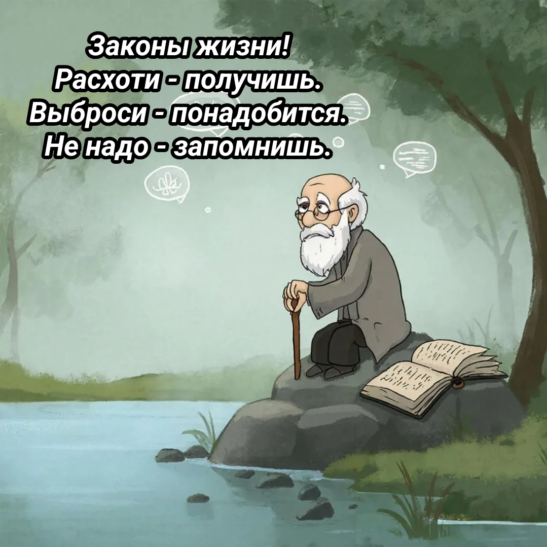 рисунок автора