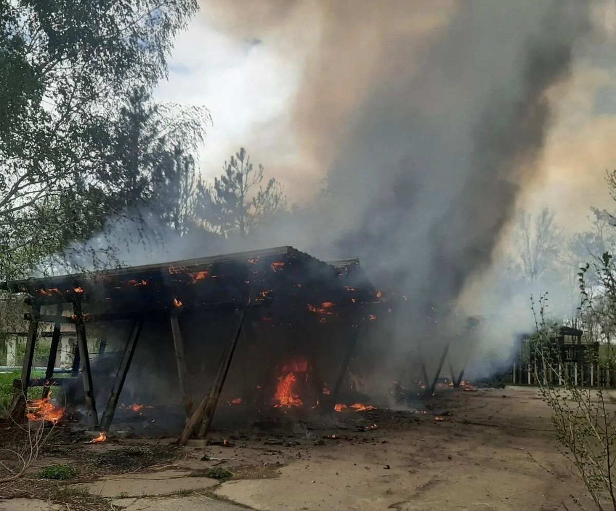    Фото: пресс-служба губернатора Херсонской области