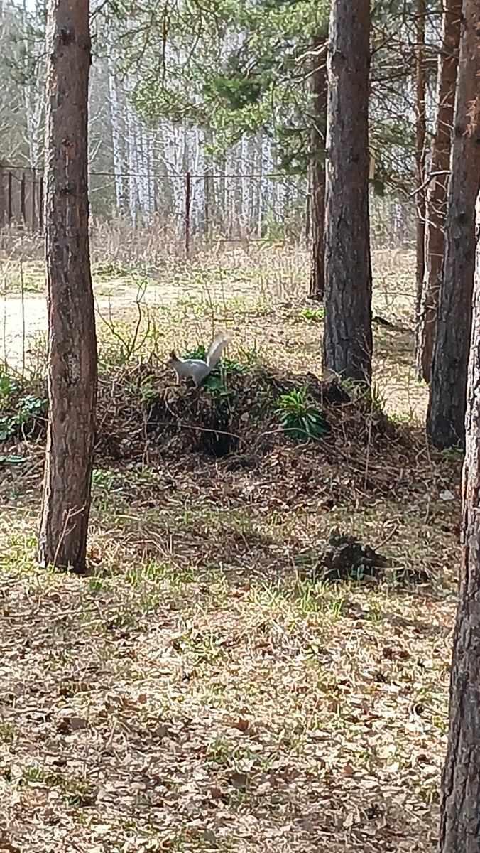 "Доброе утро, мир! Ты прекрасен!" Фото автора