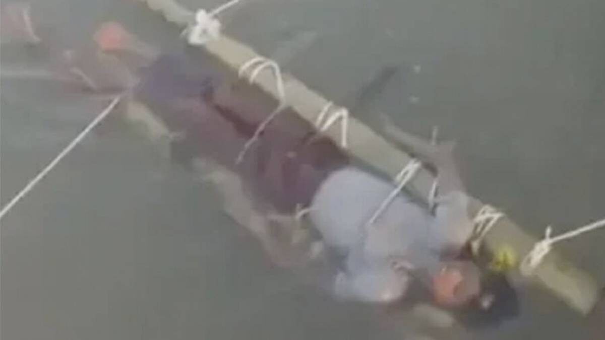    Фото: @ thepunemirror