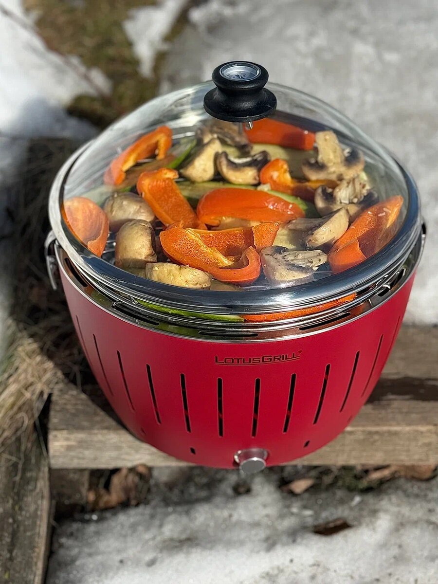 Хочу оставить женский отзыв на свой новый гриль LotusGrill. Сразу скажу, что я не профессионал, мужчины, который помог бы с выбором у меня нет, поэтому оставляю честный женский отзыв, возможно кому-то он поможет. Постаралась расписать все максимально подробно.