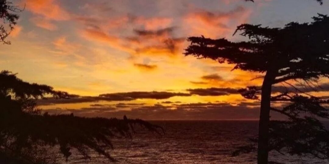 Экскурсовод рассказал о курьезах и самом недооцененном месте Крыма