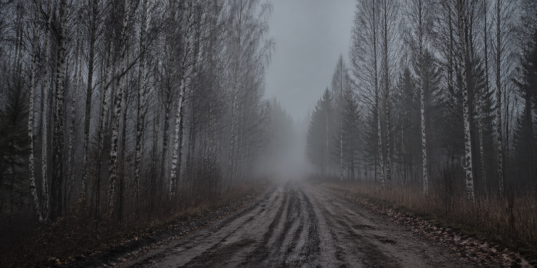 История фамилии в архивах: как один документ разрушил семейный миф