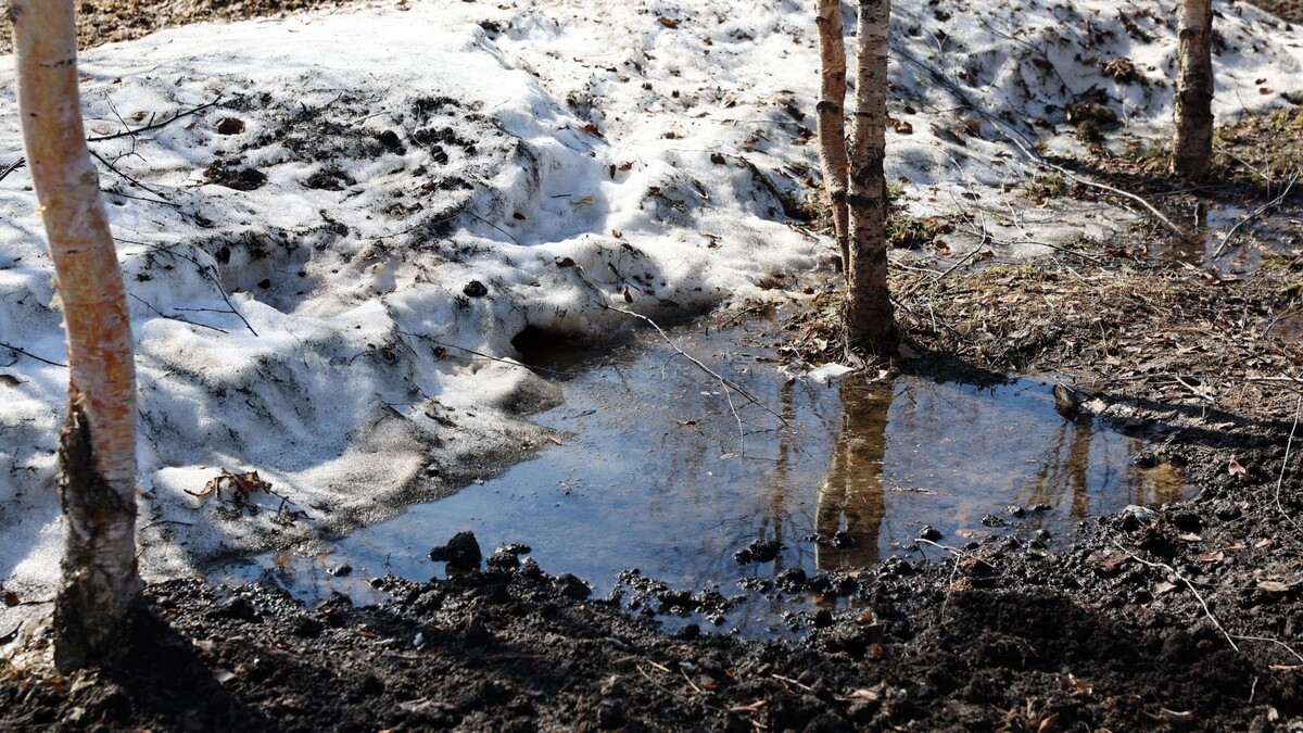    Фото: Андрей Ткачев/«Ямал-Медиа»