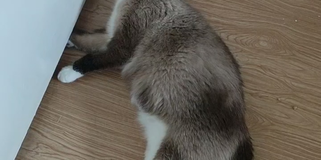 Варя хочет замуж!