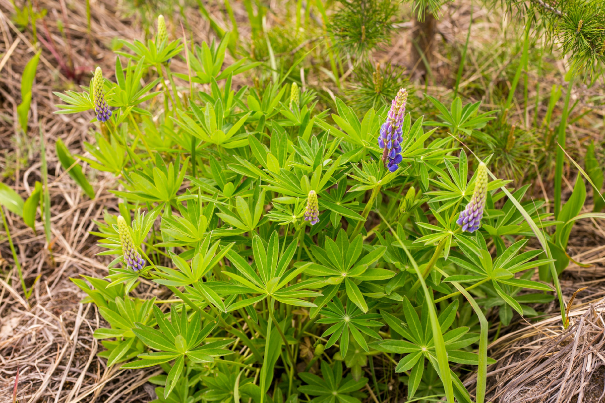 Фото: РусКлиматФонд