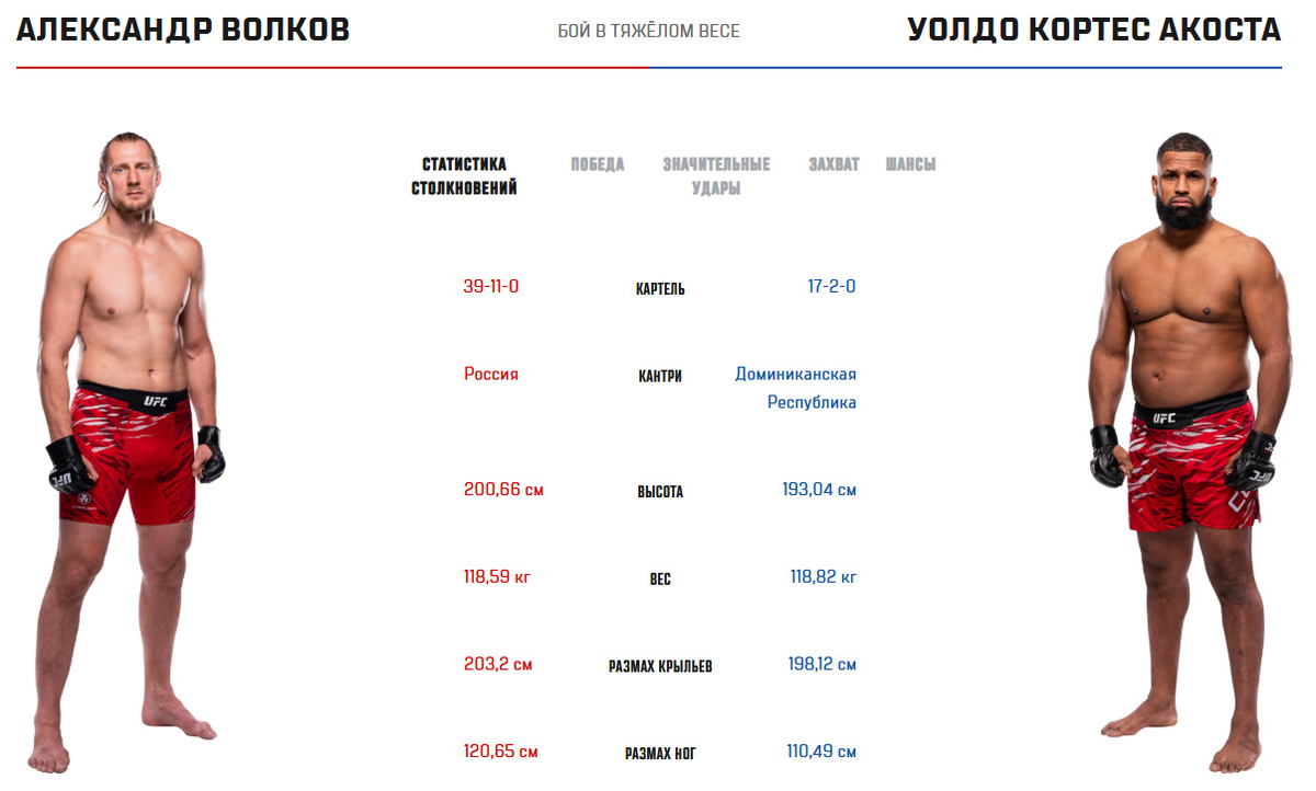 акоста волков