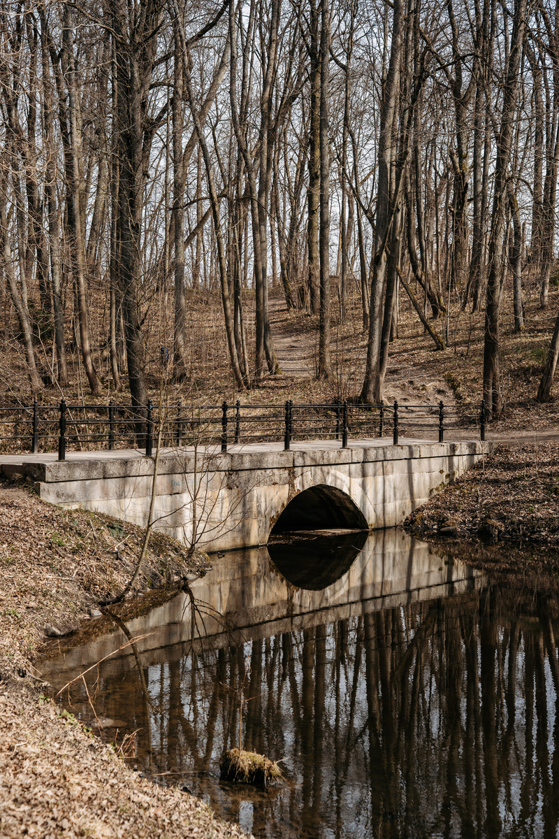 Мост в парке Сергиевка