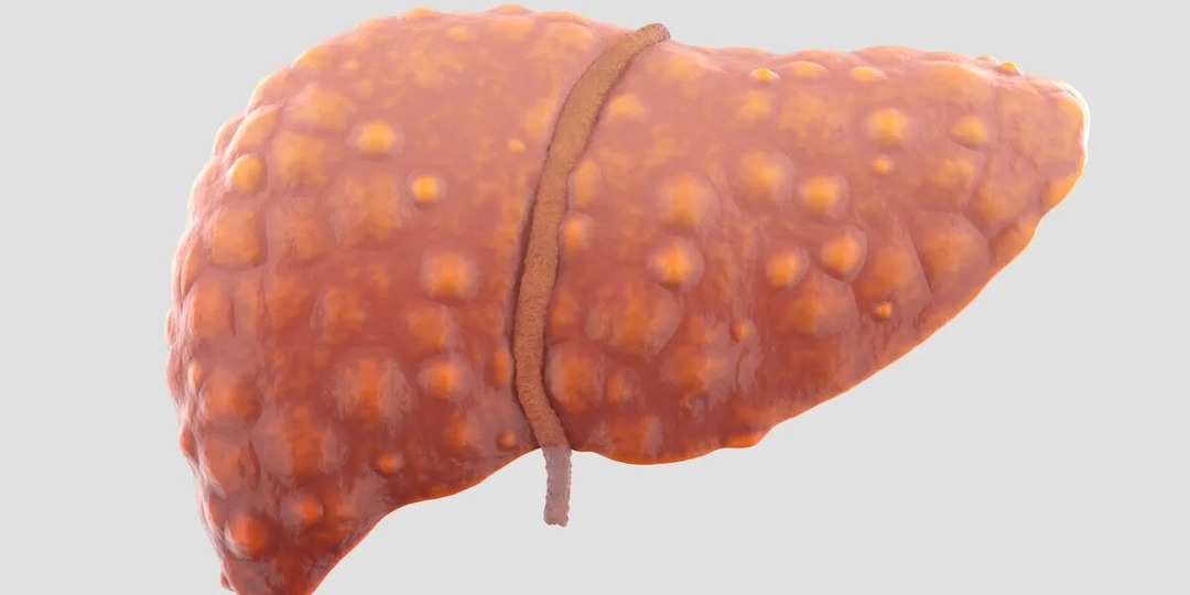 Сколько надо времени чтобы печень восстановилась после пьянок?