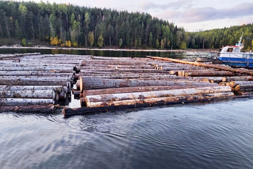    ГУ МВД России по Иркутской области
