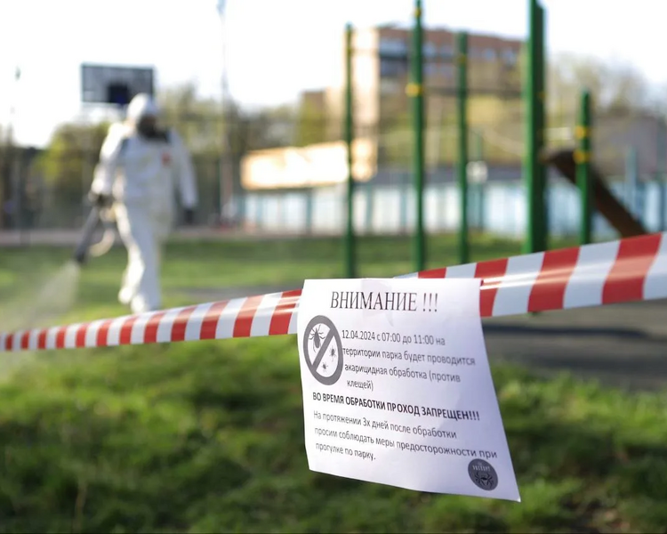     Курские парки и скверы обработают от клещей 21 апреля