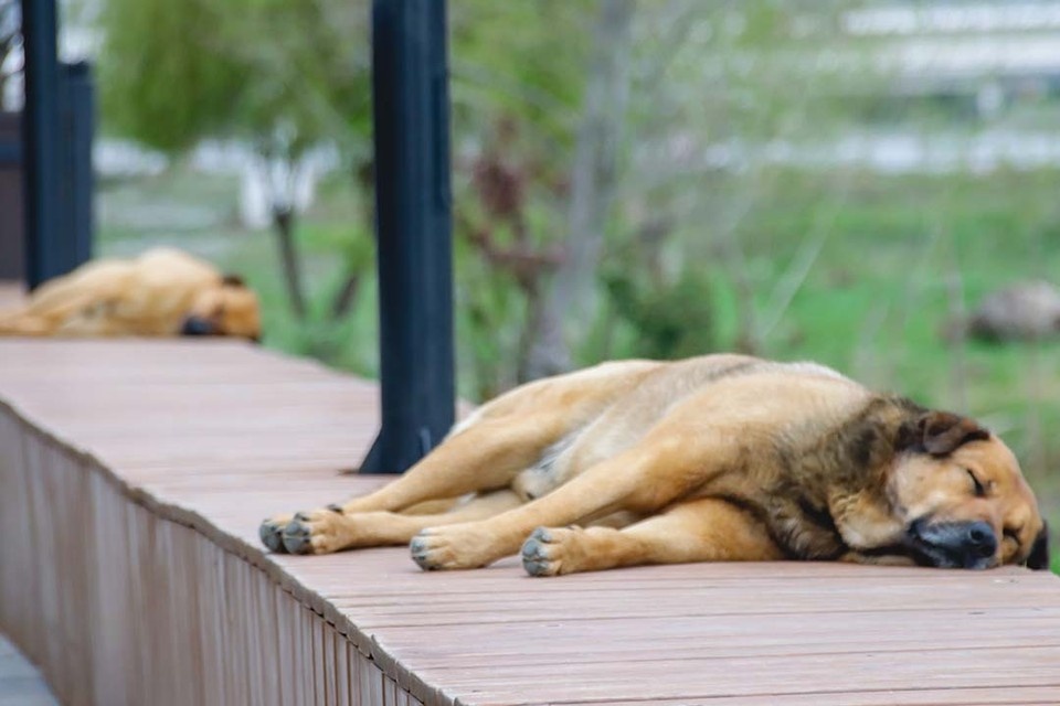    Субсидии помогут покрыть расходы на коммунальные услуги и услуги по вывозу ТКО. Олег УМАРОВ