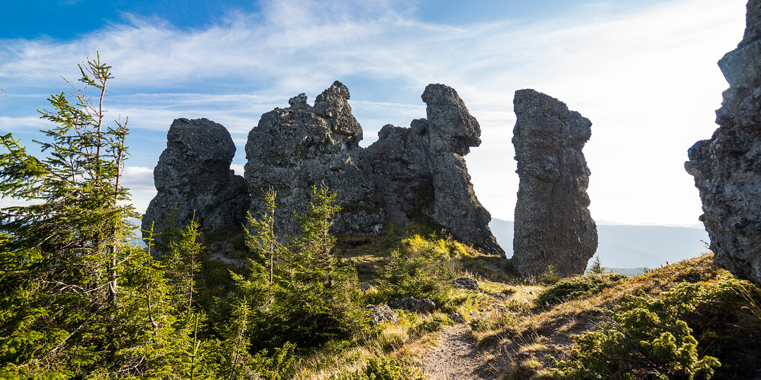 Миграция редкого сапсана будет отслеживаться в «Ленских Столбах».