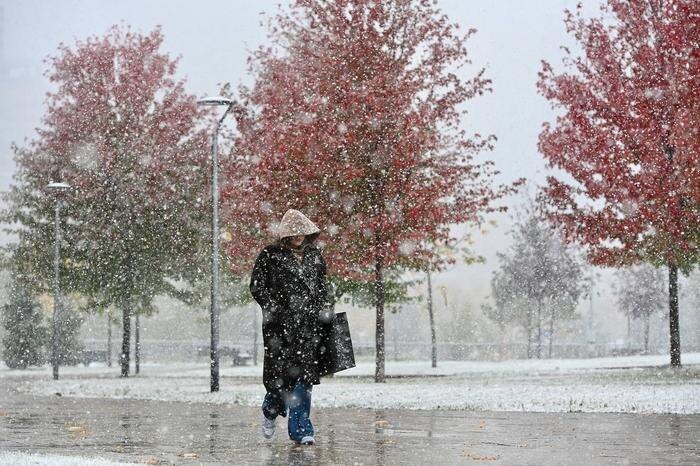 Обложка © Life.ru