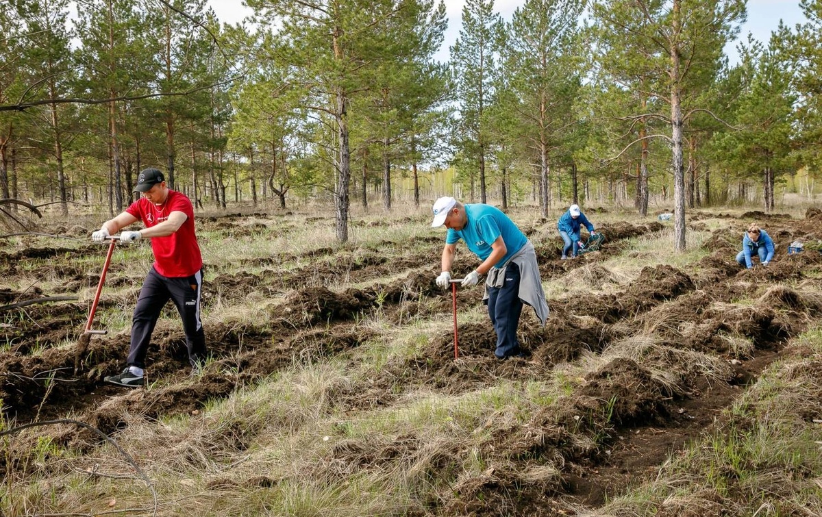 Участники акции "Зеленый пояс"