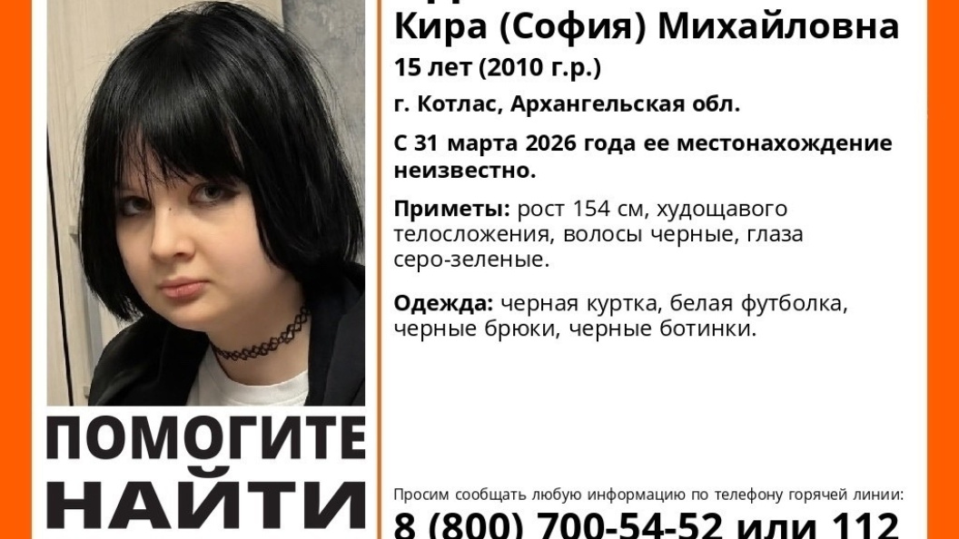    Фото: ЛизаАлерт